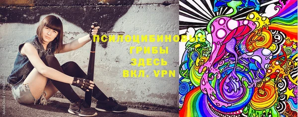 амф Бронницы