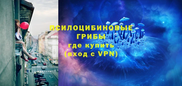 амф Бронницы